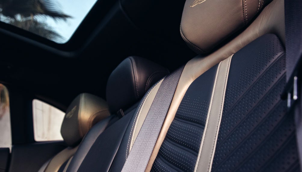 Aston Martin Tampa Bay Leather Seats