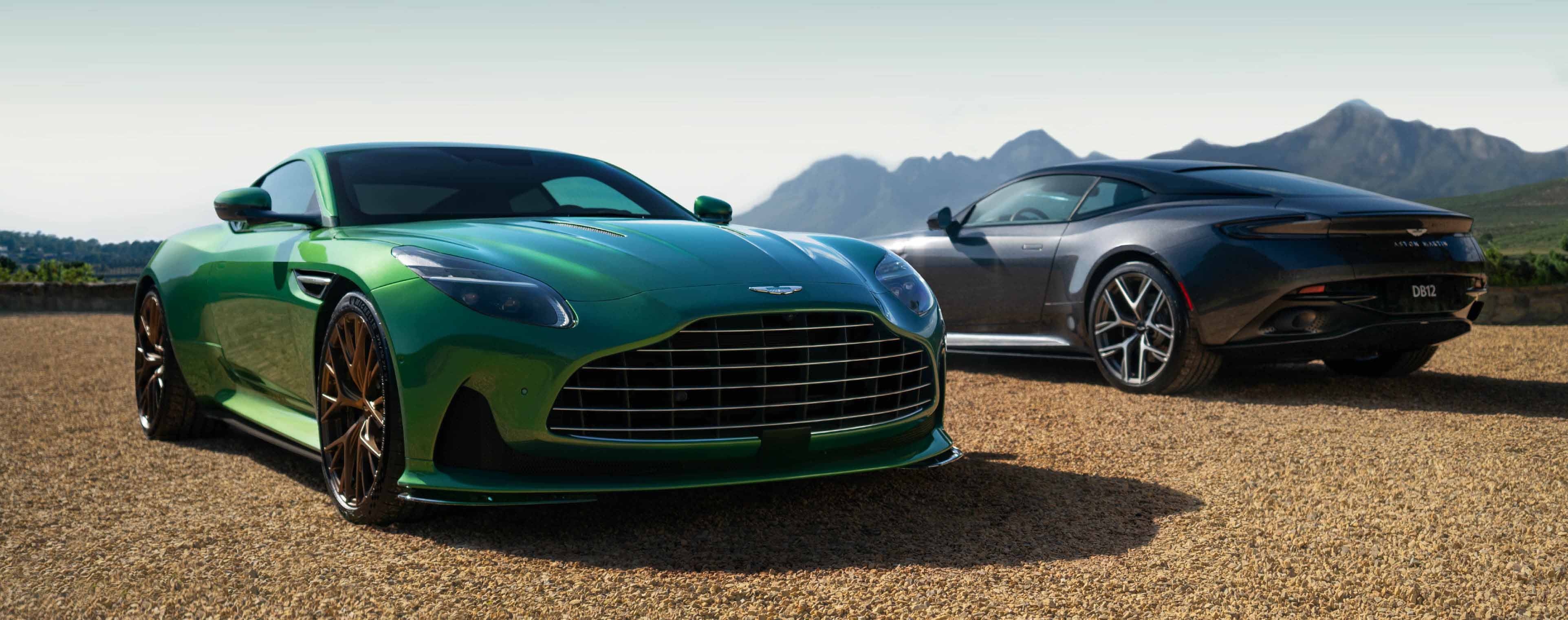 Pair of DB12s || one parked forward one in reverse