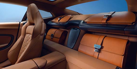 Leather luggage area